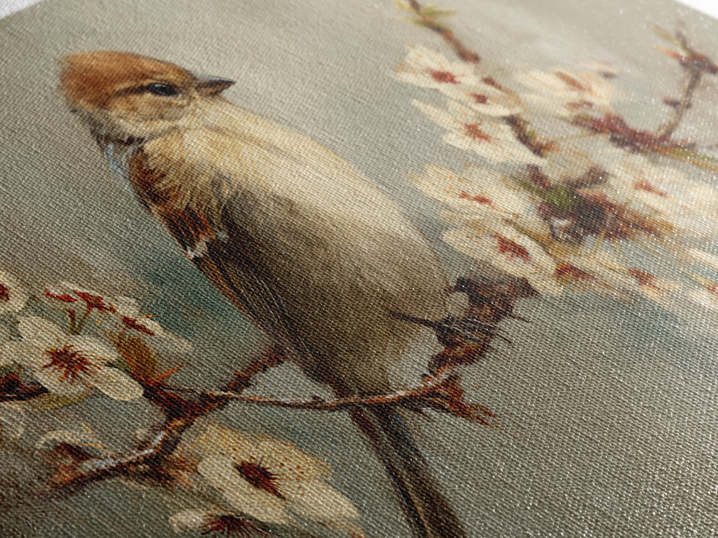 Songbird Perched on Cherry Blossoms Framed Canvas Print, Bird Art, Minimalist Decor, Living Room Decor, Fine Art, Flight, BIR-2x1-28