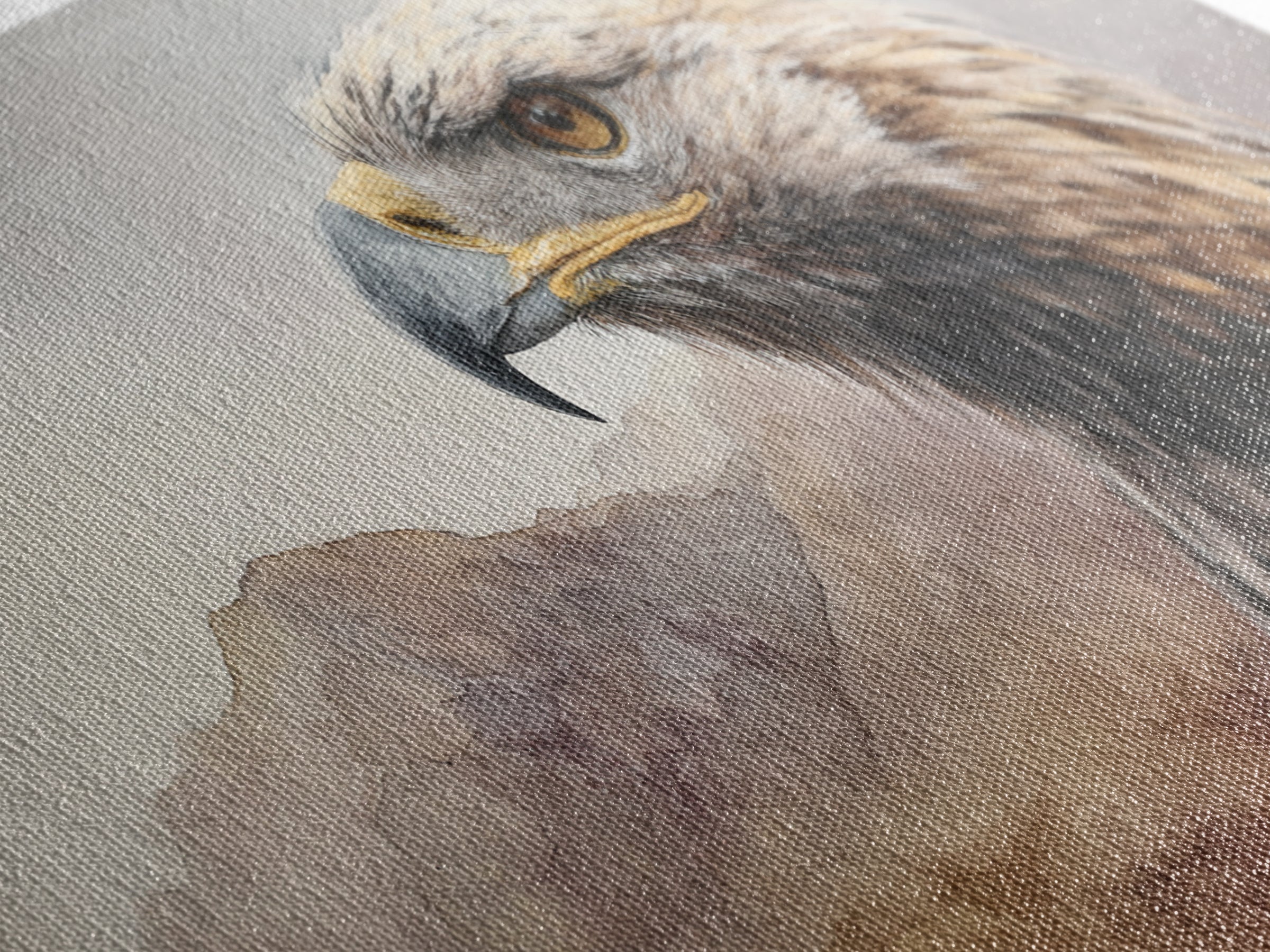 Eagle Portrait with Dramatic Mountain Wind Canvas Print, Bird Art, Contemporary Art, Living Room Decor, Oil Painting, Flight, BIR-2x1-32