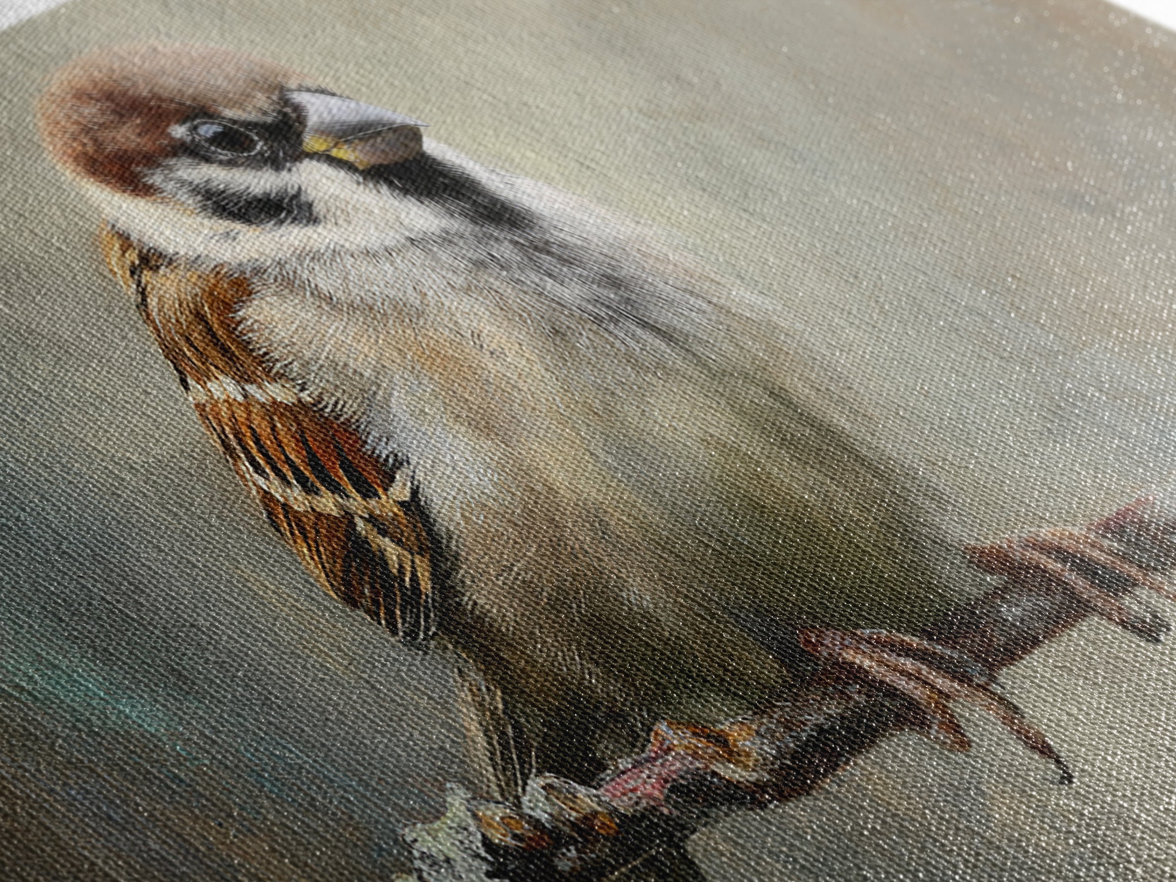 Small Sparrow on Wildflower Stem Framed Canvas Print, Bird Art, Art Print, Living Room Decor, Watercolor Art, Flight, BIR-2x1-34