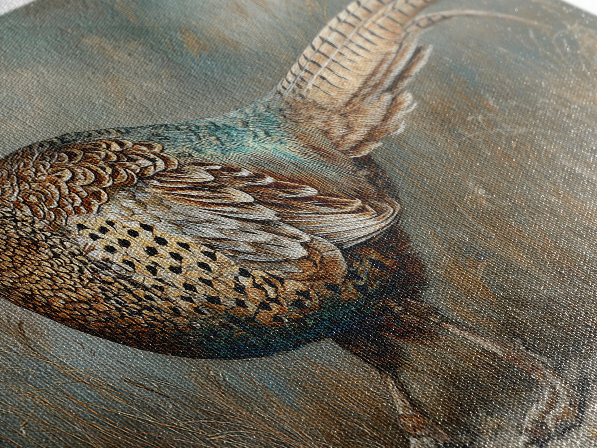Pheasant with Ornate Feather Details Canvas Print, Bird Art, Printable Wall Art, Living Room Decor, Oil Painting, Flight, BIR-2x1-39