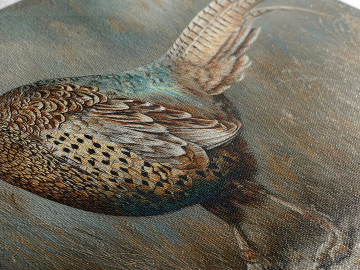 Pheasant with Ornate Feather Details Canvas Print, Bird Art, Printable Wall Art, Living Room Decor, Oil Painting, Flight, BIR-2x1-39