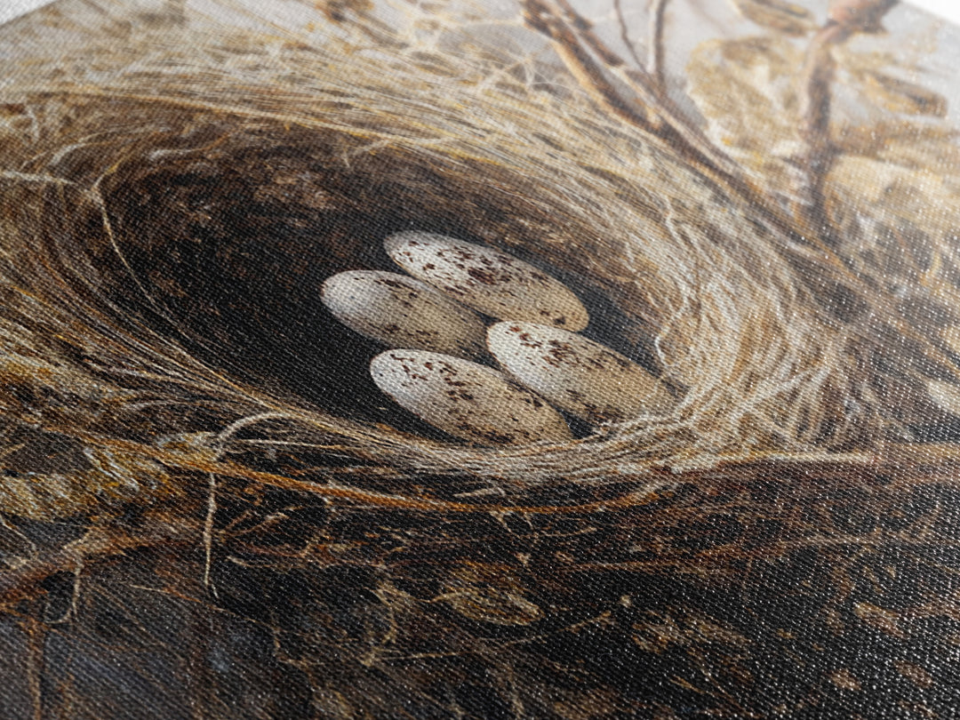 Bird Nest with Eggs and Delicate Twigs Framed Canvas Print, Bird Art, Statement Artwork, Living Room Decor, Fine Art, Flight, BIR-2x1-42