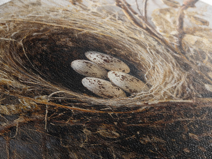 Bird Nest with Eggs and Delicate Twigs Framed Canvas Print, Bird Art, Statement Artwork, Living Room Decor, Fine Art, Flight, BIR-2x1-42