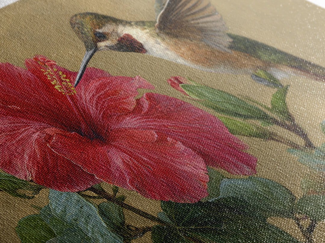 Hummingbird Hovering Beside Bright Hibiscus Canvas Print, Bird Art, Digital Prints, Living Room Decor, Fine Art, Flight, BIR-2x1-48