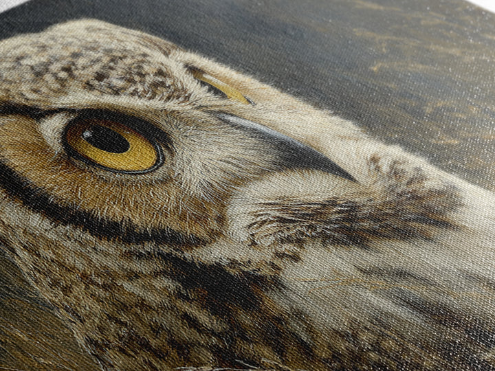 Owl Portrait with Wise Golden Eyes Canvas Print, Bird Art, Original Art, Living Room Decor, Fine Art, Flight, Mcm Decor, BIR-2x1-49