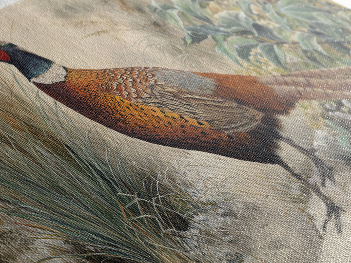 Pheasant with Ornate Feather Details Canvas Print, Bird Art, Living Room Decor, Fine Art, Flight, Rustic Home Decor, Floral Art, BIR-2x1-63