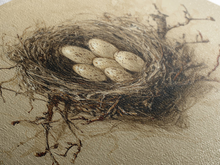 Bird Nest with Eggs and Delicate Twigs Canvas Print, Bird Art, Textured Painting, Living Room Decor, Watercolor Art, Flight, BIR-2x1-66