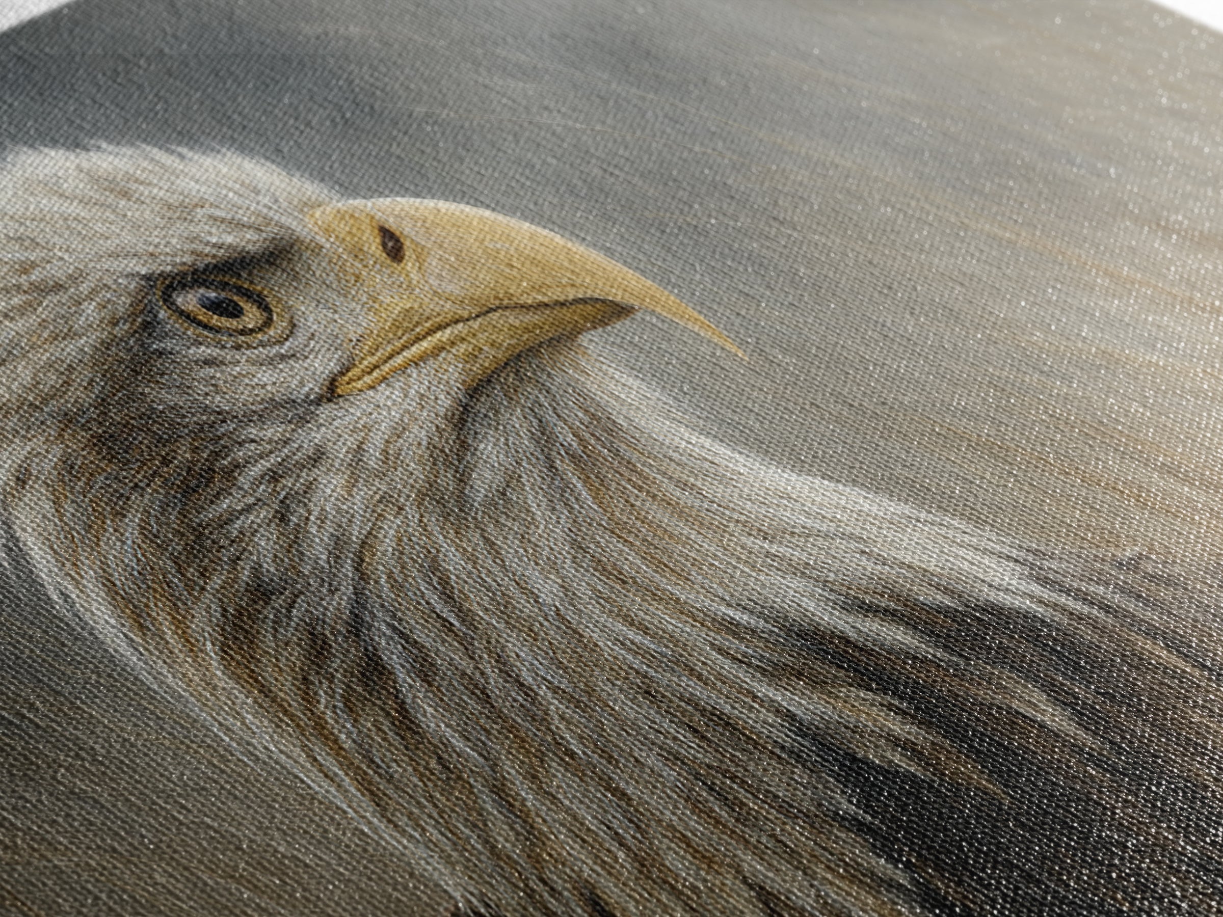 Eagle Portrait with Dramatic Mountain Wind Framed Canvas Print, Bird Art, Luxury Decor, Living Room Decor, Fine Art, Flight, BIR-2x1-8