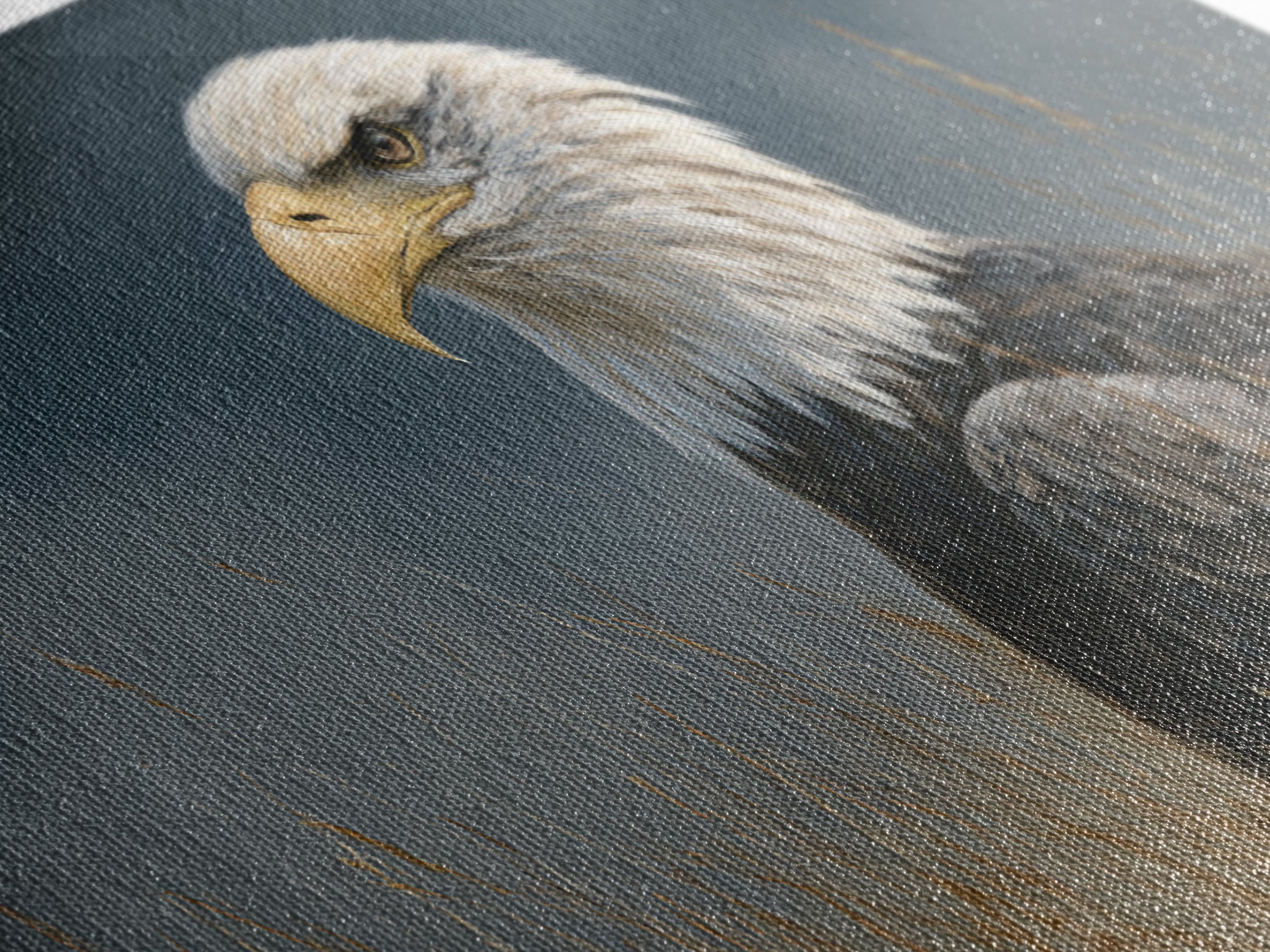Eagle Portrait with Dramatic Mountain Wind Framed Canvas Print, Bird Art, Modern Art, Living Room Decor, Fine Art, Flight, BIR-2x1-80