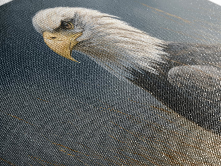 Eagle Portrait with Dramatic Mountain Wind Framed Canvas Print, Bird Art, Modern Art, Living Room Decor, Fine Art, Flight, BIR-2x1-80