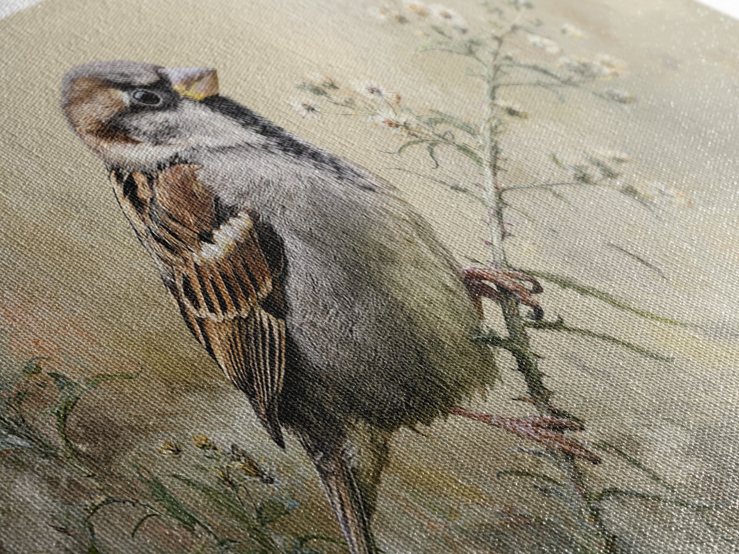 Small Sparrow on Wildflower Stem Canvas Print, Bird Art, Wall Art, Living Room Decor, Watercolor Art, Flight, Japanese Wall Art, BIR-2x1-82