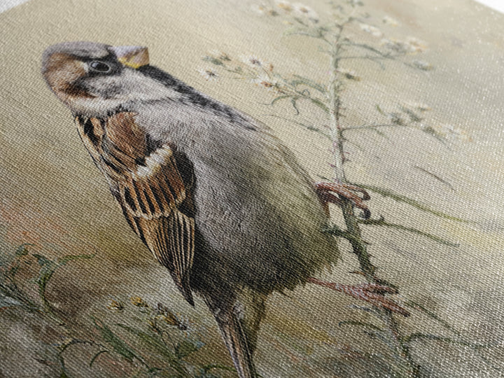 Small Sparrow on Wildflower Stem Canvas Print, Bird Art, Wall Art, Living Room Decor, Watercolor Art, Flight, Japanese Wall Art, BIR-2x1-82