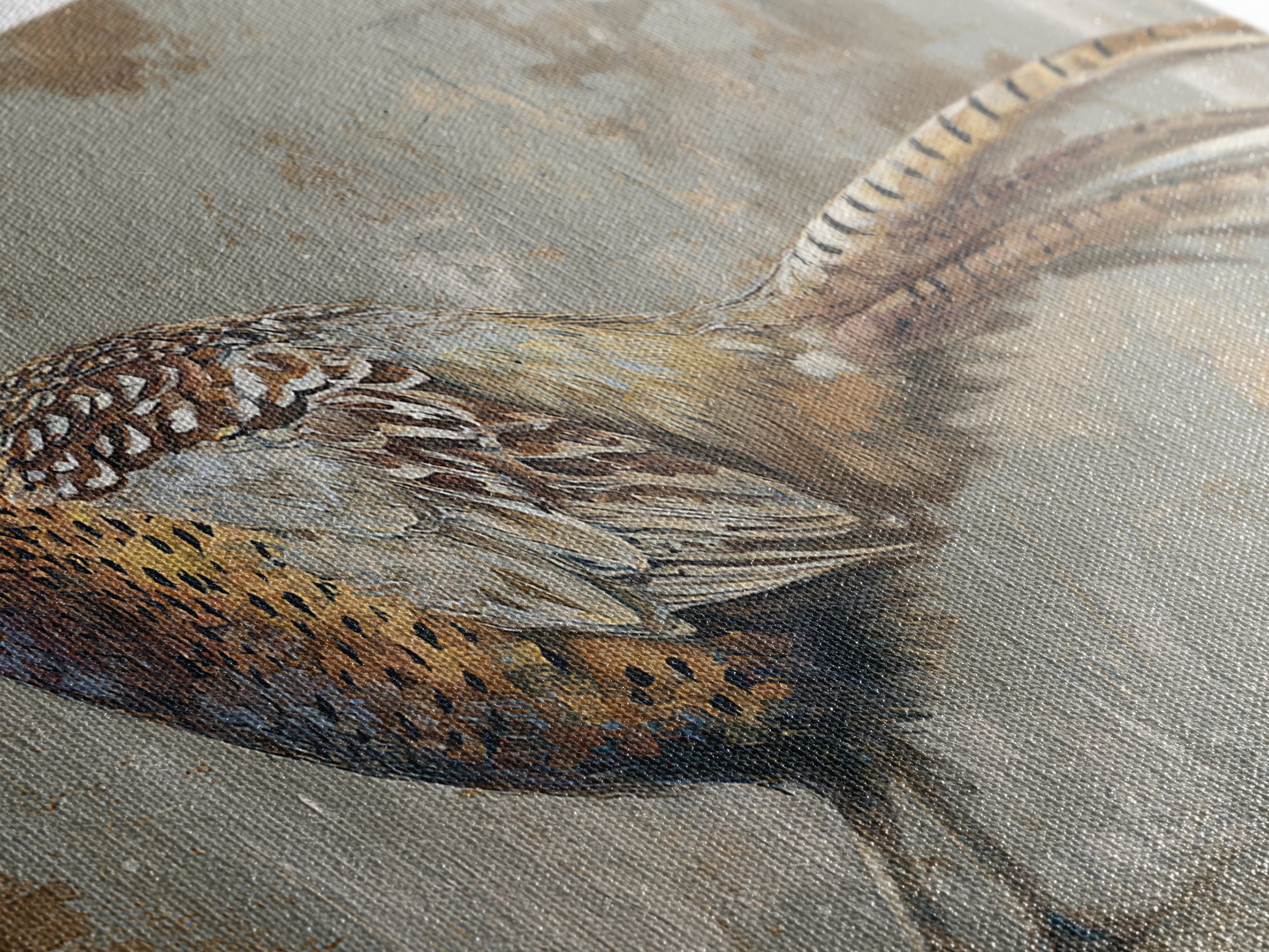 Pheasant with Ornate Feather Details Framed Canvas Print, Bird Art, Mid Century Wall Art, Living Room Decor, Fine Art, Flight, BIR-2x1-87