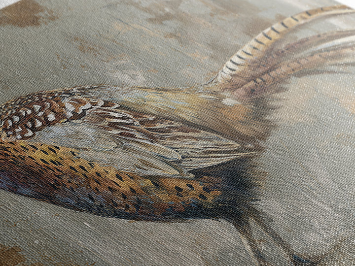 Pheasant with Ornate Feather Details Framed Canvas Print, Bird Art, Mid Century Wall Art, Living Room Decor, Fine Art, Flight, BIR-2x1-87