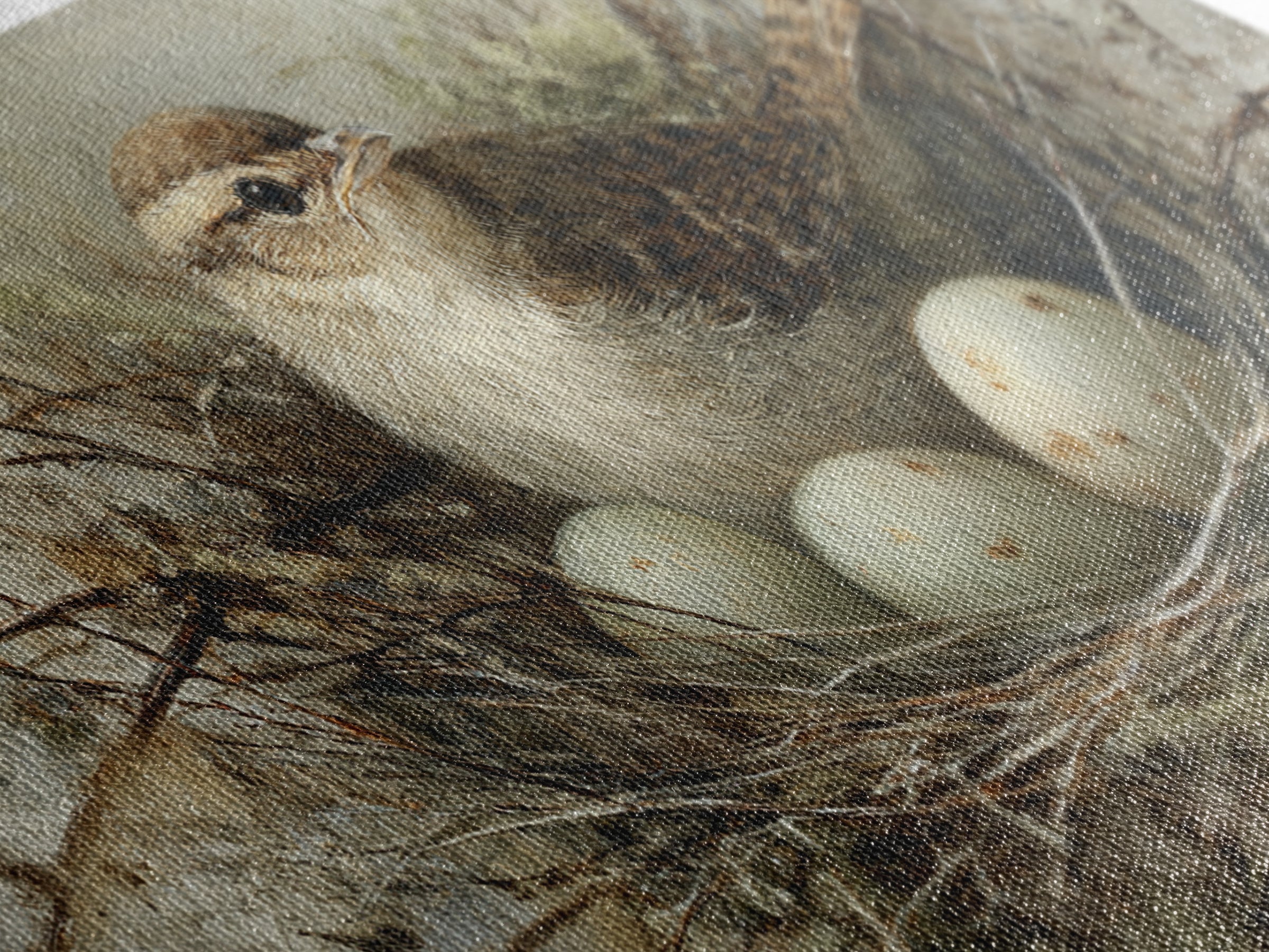 Bird Nest with Eggs and Delicate Twigs Framed Canvas Print, Bird Art, Wall Decor, Living Room Decor, Oil Painting, Flight, BIR-2x1-90