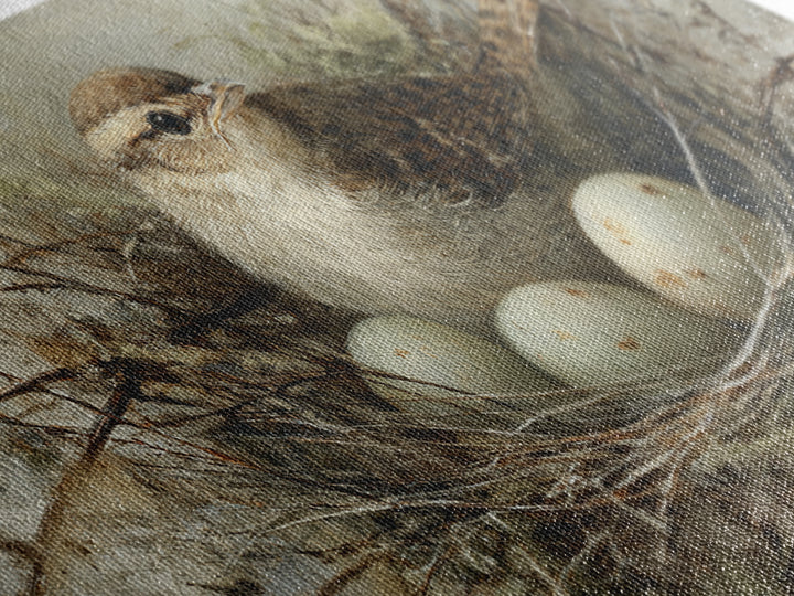 Bird Nest with Eggs and Delicate Twigs Framed Canvas Print, Bird Art, Wall Decor, Living Room Decor, Oil Painting, Flight, BIR-2x1-90