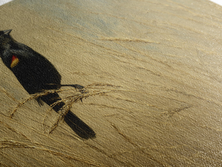 Blackbird on Gold Wheat Field Framed Canvas Print, Bird Art, Modern Wall Art, Living Room Decor, Oil Painting, Flight, BIR-2x1-92