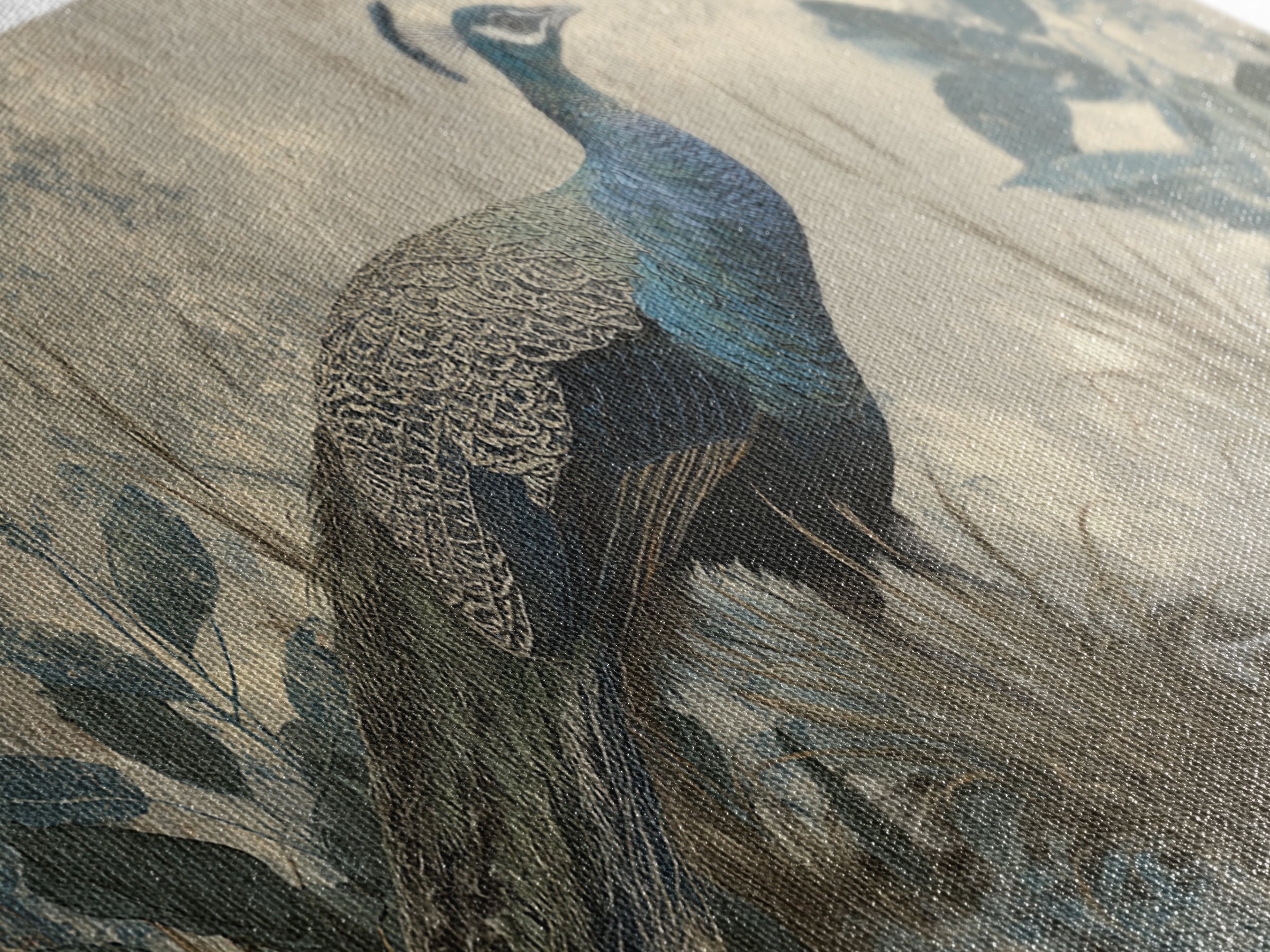 Peacock with Jewel Tone Feather Pattern Framed Canvas Print, Bird Art, Boho Wall Decor, Living Room Decor, Fine Art, Flight, BIR-2x1-99