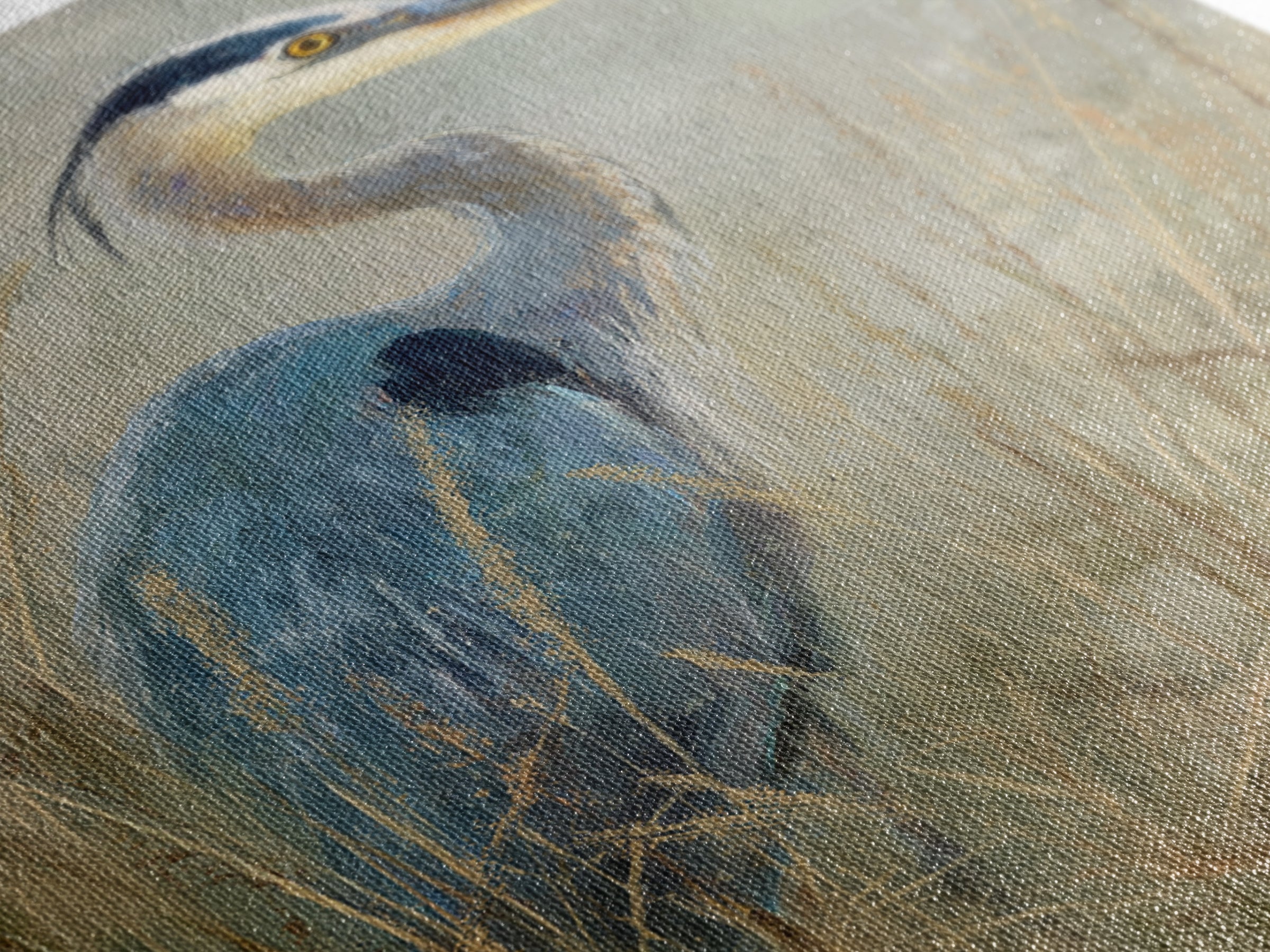 Blue Heron in Misty Marsh Grass Canvas Print, Bird Art, Luxury Decor, Living Room Decor, Flight, Art Deco, Original Art, BIR-2x3-10