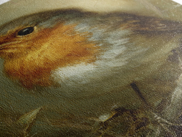 Robin in a Spring Garden with Soft Canvas Print, Bird Art, Art Print, Living Room Decor, Fine Art, Flight, Original Art, BIR-2x3-23