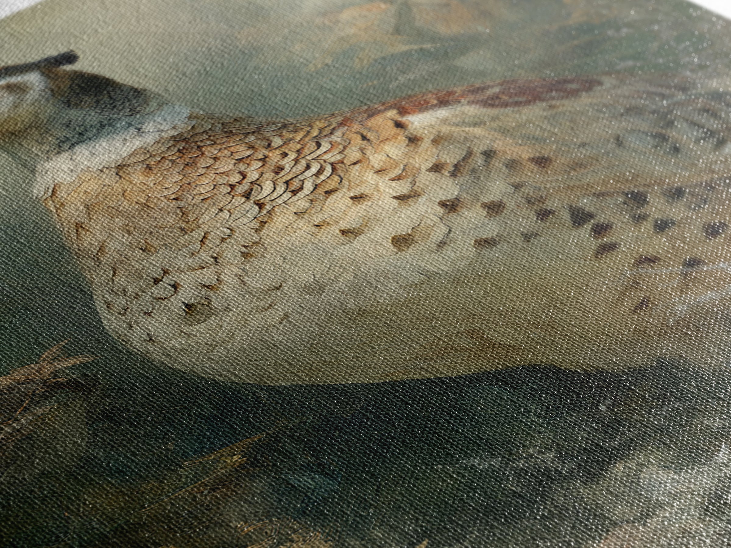 Pheasant with Ornate Feather Details Framed Canvas Print, Bird Art, Rustic Home Decor, Living Room Decor, Fine Art, Flight, BIR-2x3-3