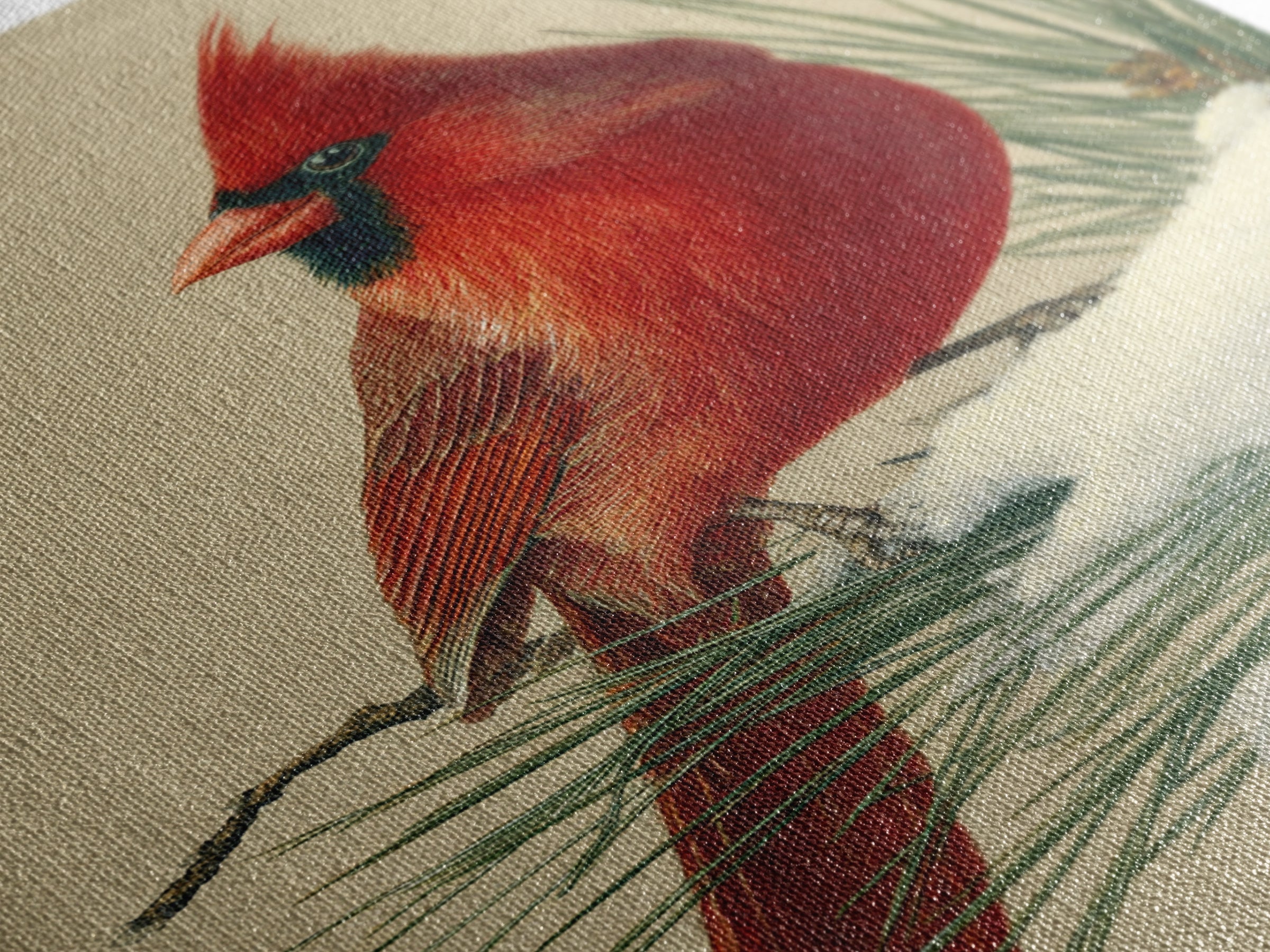 Red Cardinal on Snowy Pine Branch Framed Canvas Print, Bird Art, Digital Print, Living Room Decor, Flight, Bird Prints, BIR-2x3-33