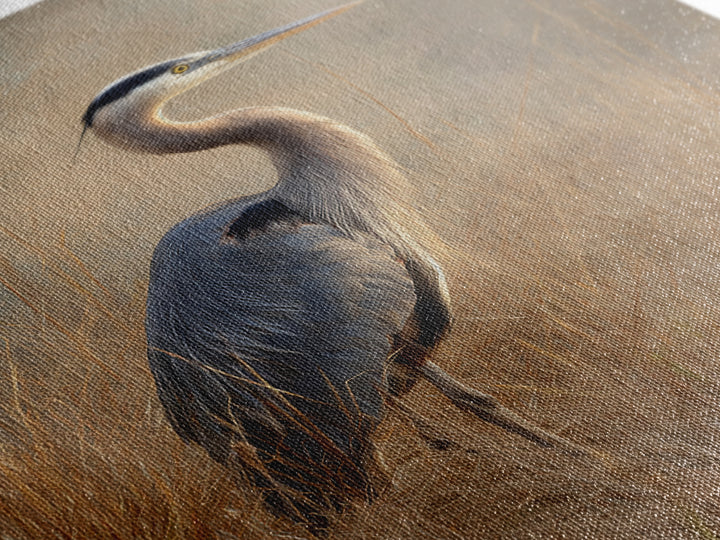 Blue Heron in Misty Marsh Grass Framed Canvas Print, Bird Art, Contemporary Art, Living Room Decor, Fine Art, Flight, BIR-2x3-34