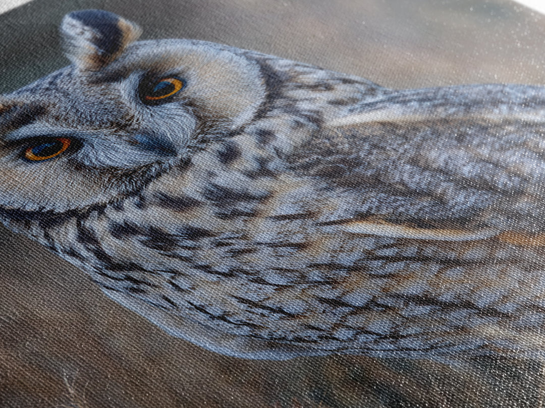 Owl Portrait with Wise Golden Eyes Framed Canvas Print, Bird Art, Digital Prints, Living Room Decor, Fine Art, Flight, BIR-2x3-37