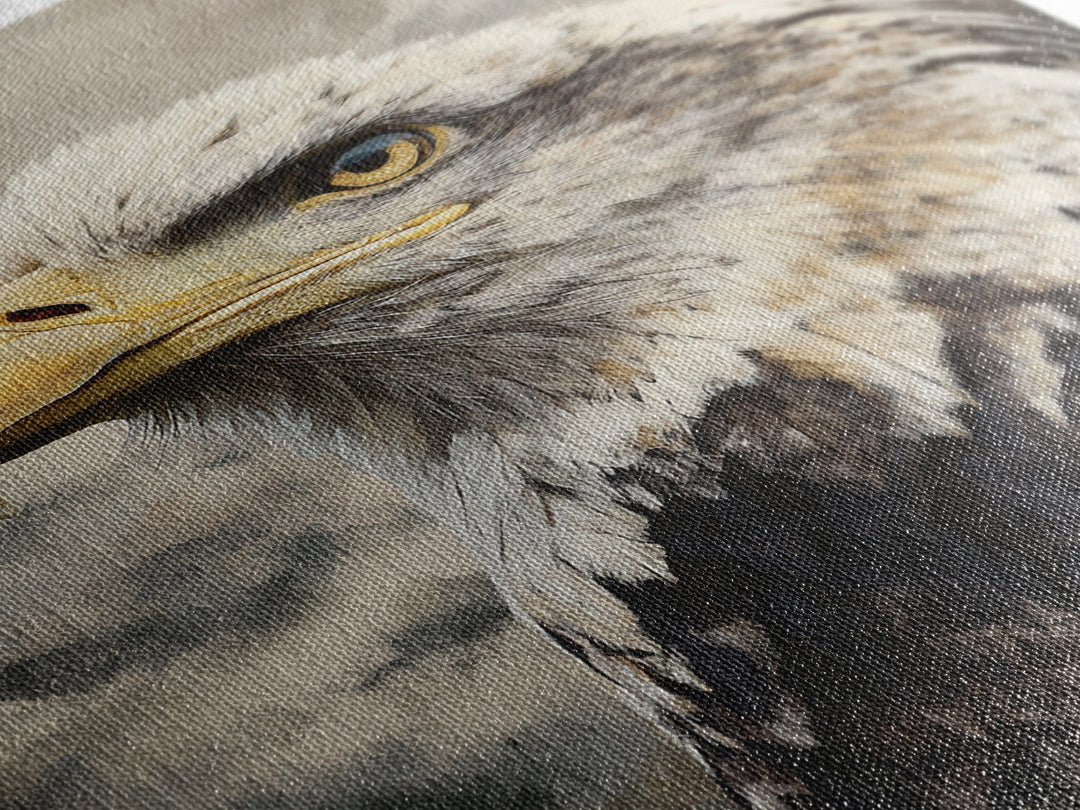 Eagle Portrait with Dramatic Mountain Wind Framed Canvas Print, Bird Art, Floral Art, Living Room Decor, Fine Art, Flight, BIR-2x3-44