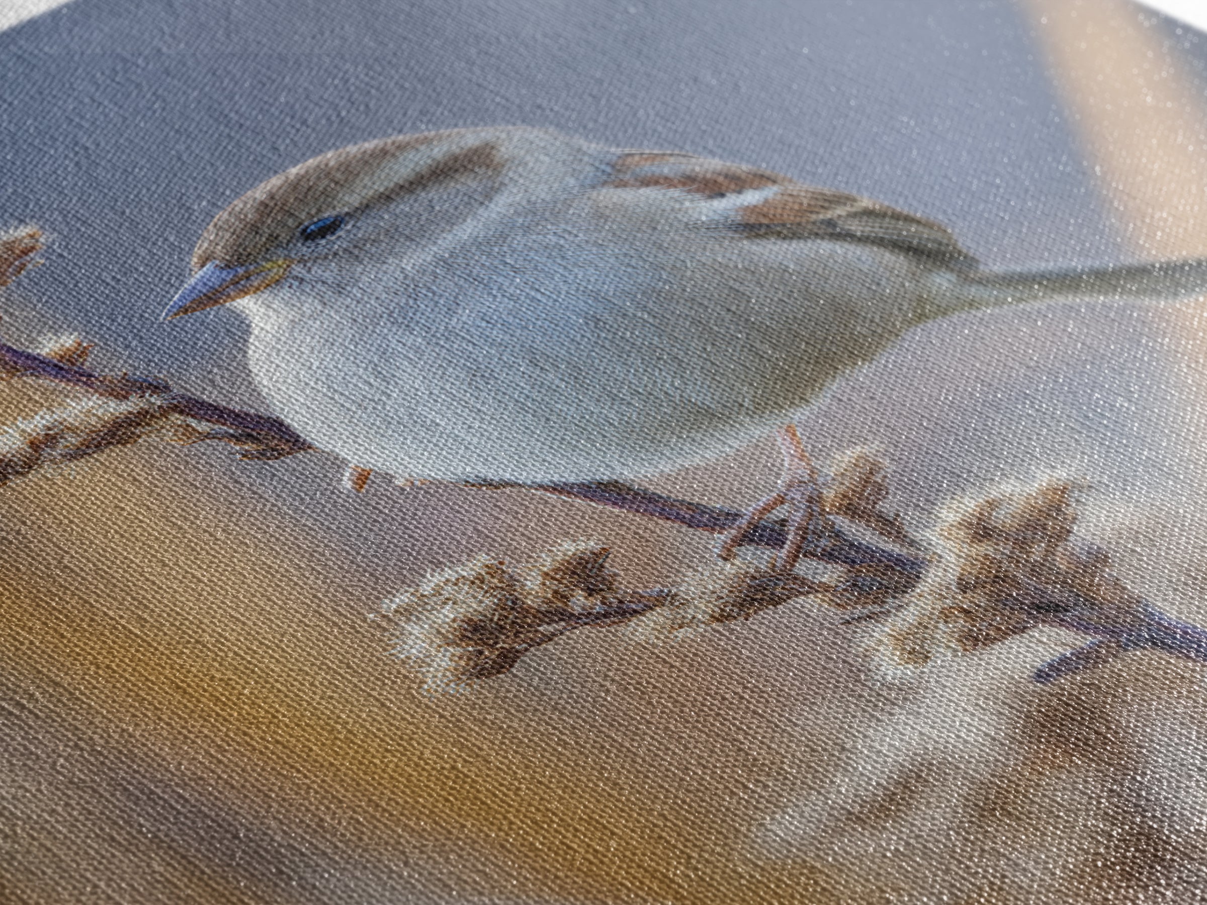 Small Sparrow on Wildflower Stem Framed Canvas Print, Bird Art, Textured Painting, Living Room Decor, Fine Art, Flight, BIR-2x3-46