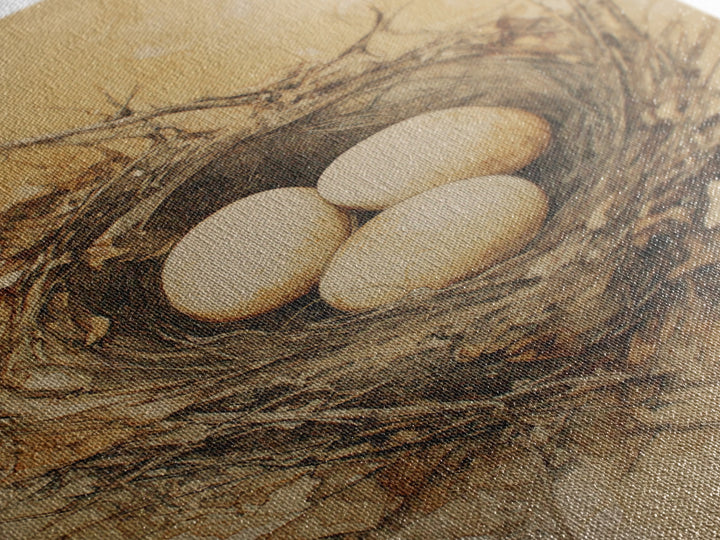 Bird Nest with Eggs and Delicate Twigs Canvas Print, Bird Art, Minimalist Decor, Living Room Decor, Fine Art, Flight, BIR-2x3-54