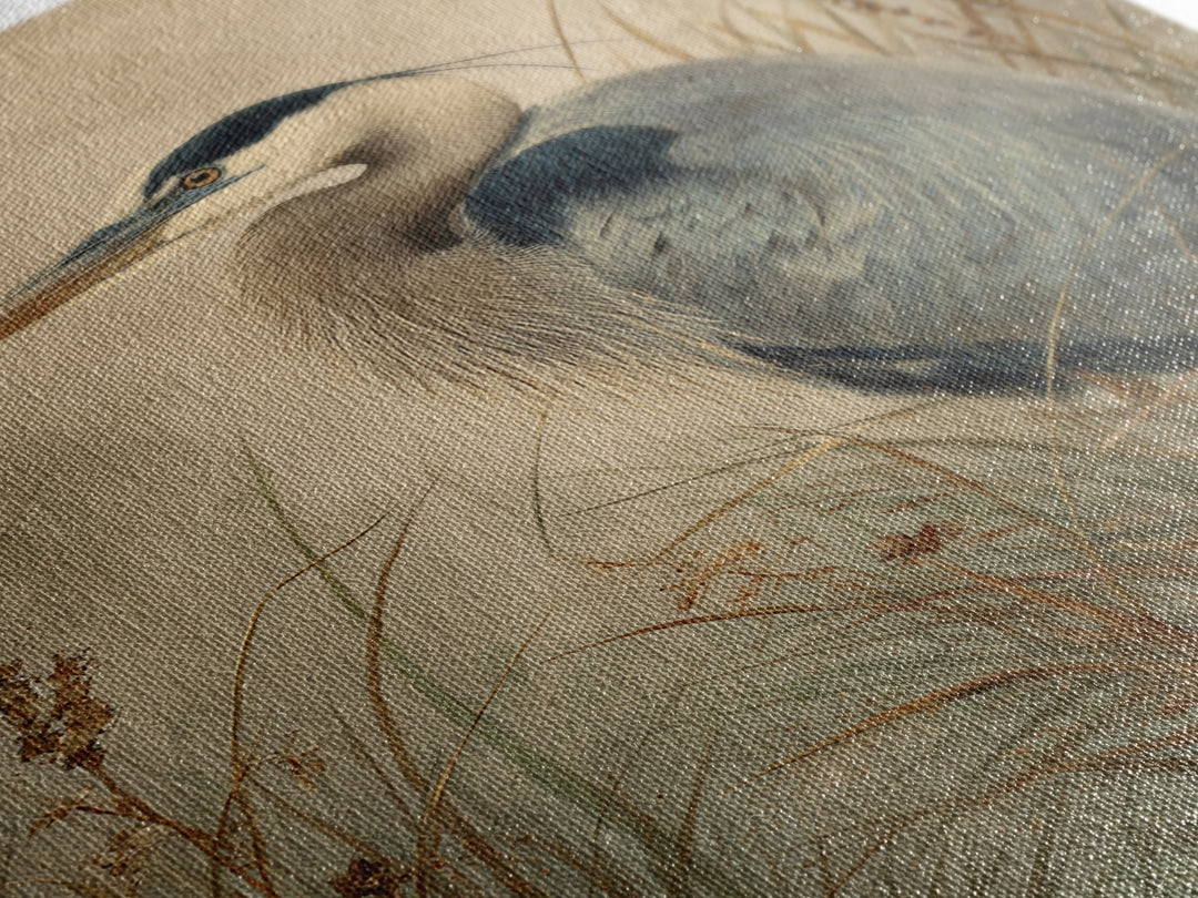 Blue Heron in Misty Marsh Grass Canvas Print, Bird Art, Mid Century Modern, Living Room Decor, Flight, Botanical Wall Art, BIR-2x3-58