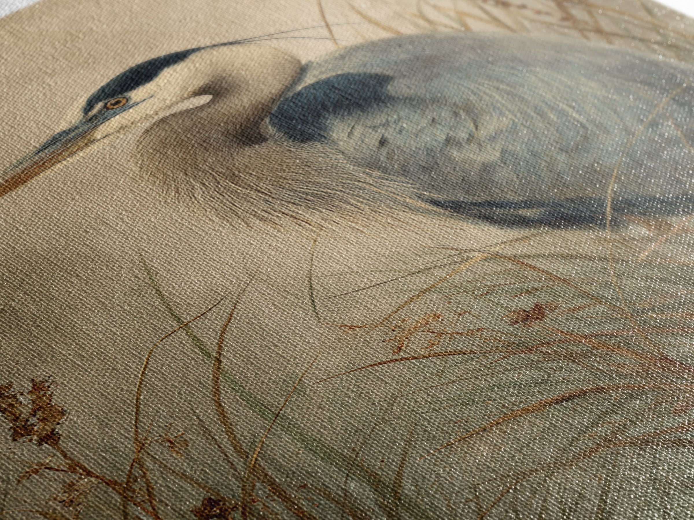 Blue Heron in Misty Marsh Grass Canvas Print, Bird Art, Mid Century Modern, Living Room Decor, Flight, Botanical Wall Art, BIR-2x3-58