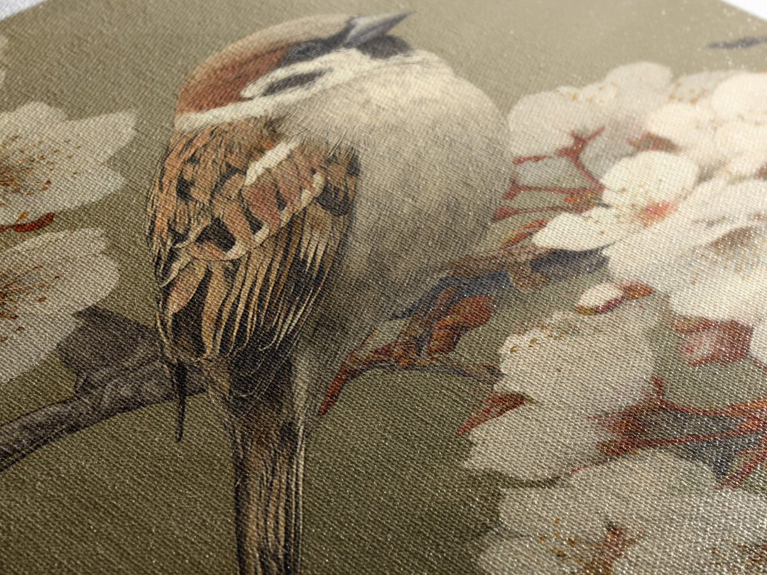 Songbird Perched on Cherry Blossoms Framed Canvas Print, Bird Art, Room Decor, Living Room Decor, Fine Art, Flight, BIR-2x3-64