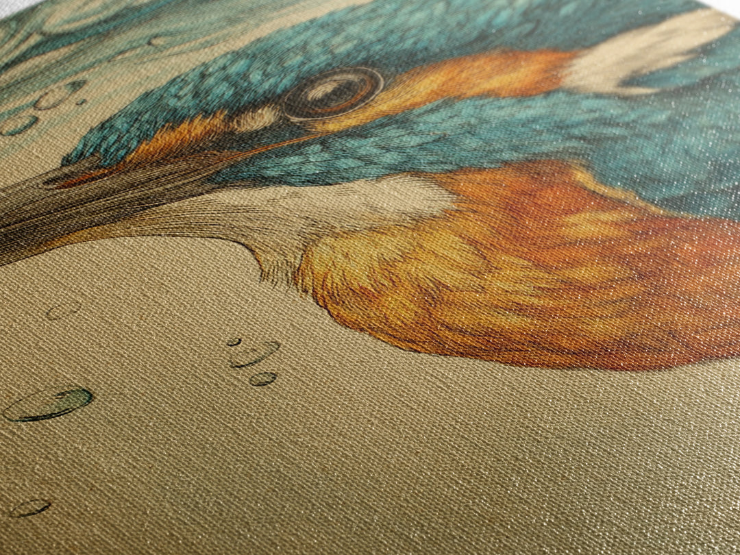 Kingfisher Diving Toward Blue Water Canvas Print, Bird Art, Mid Century Modern, Living Room Decor, Flight, Botanical Wall Art, BIR-2x3-67