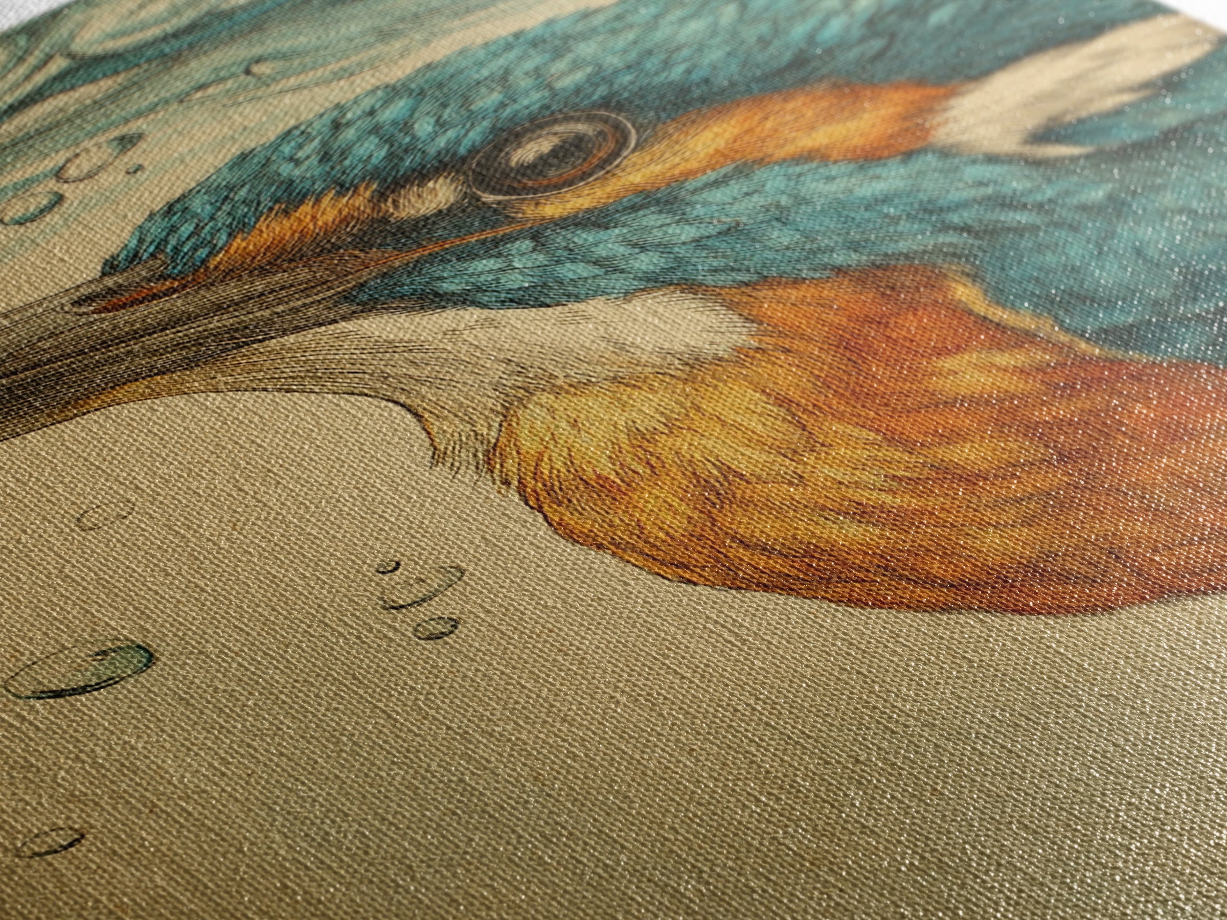 Kingfisher Diving Toward Blue Water Canvas Print, Bird Art, Mid Century Modern, Living Room Decor, Flight, Botanical Wall Art, BIR-2x3-67