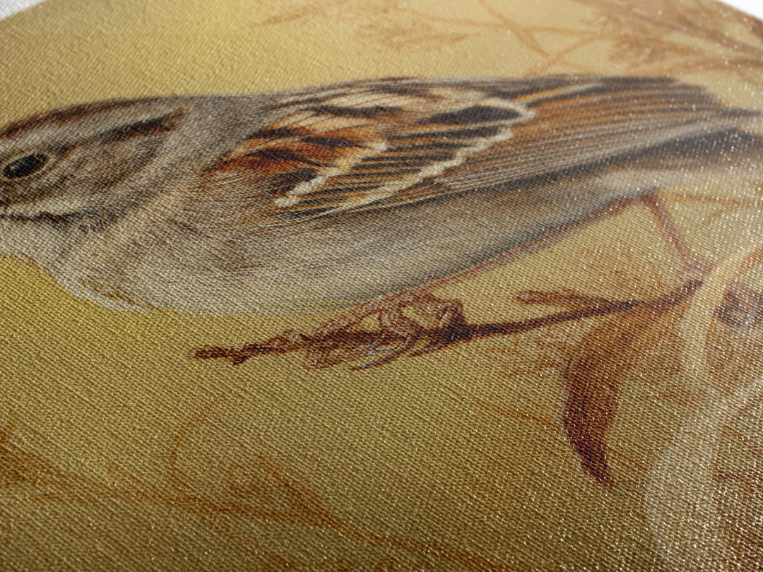 Small Sparrow on Wildflower Stem Canvas Print, Bird Art, Wall Decor, Living Room Decor, Oil Painting, Flight, Boho Wall Decor, BIR-2x3-70