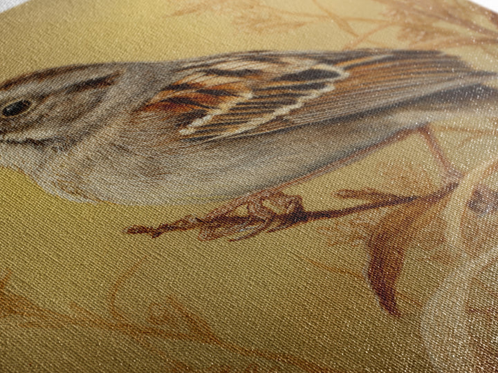 Small Sparrow on Wildflower Stem Canvas Print, Bird Art, Wall Decor, Living Room Decor, Oil Painting, Flight, Boho Wall Decor, BIR-2x3-70