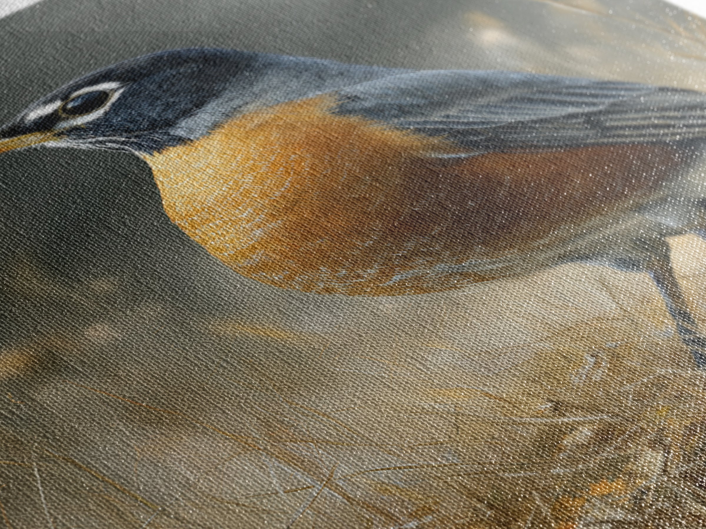 Robin in a Spring Garden with Soft Canvas Print, Bird Art, Art Deco, Living Room Decor, Oil Painting, Flight, Gallery Wall, BIR-2x3-71