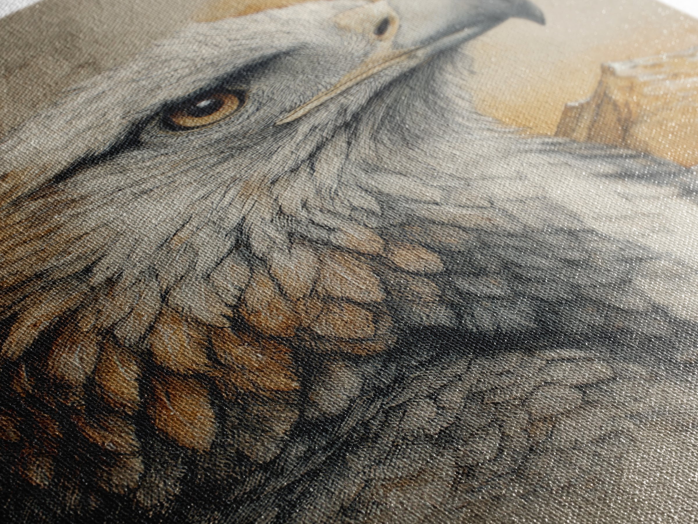 Eagle Portrait with Dramatic Mountain Wind Framed Canvas Print, Bird Art, Gallery Decor, Living Room Decor, Fine Art, Flight, BIR-2x3-92