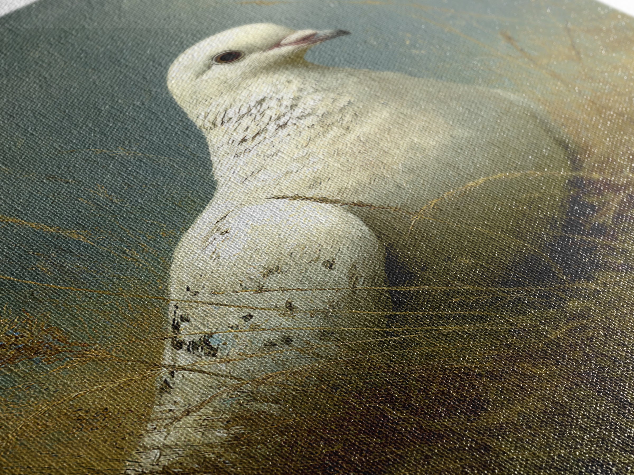 White Dove with Olive Branch and Calm Canvas Print, Bird Art, Printable Art, Living Room Decor, Watercolor Art, Flight, BIR-2x3-96