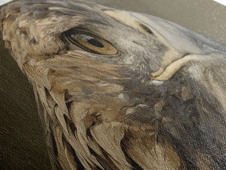 Eagle Portrait with Dramatic Mountain Wind Canvas Print, Bird Art, Modern Decor, Living Room Decor, Fine Art, Flight, BIR-3x1-100