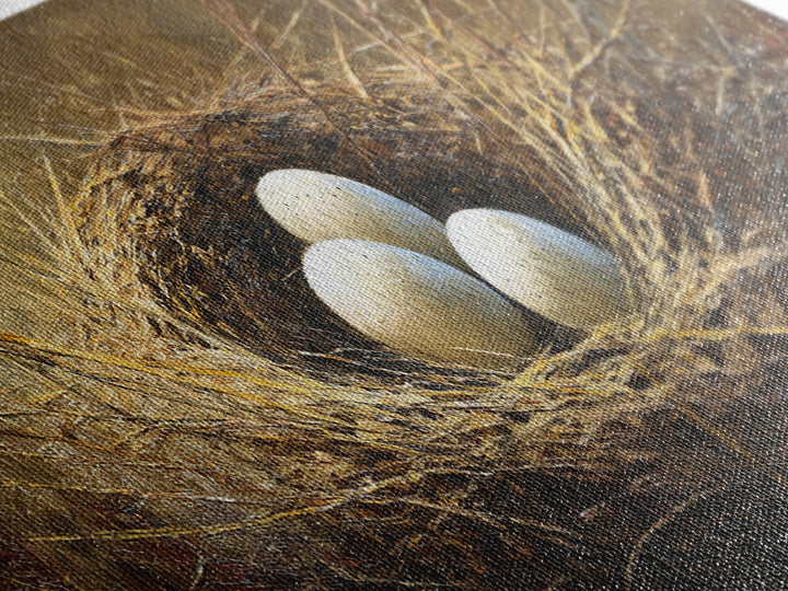 Bird Nest with Eggs and Delicate Twigs Canvas Print, Bird Art, Floral Art, Living Room Decor, Fine Art, Flight, BIR-3x1-14