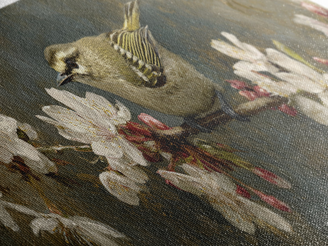 Songbird Perched on Cherry Blossoms Canvas Print, Bird Art, Nature Wall Art, Living Room Decor, Fine Art, Flight, BIR-3x1-24