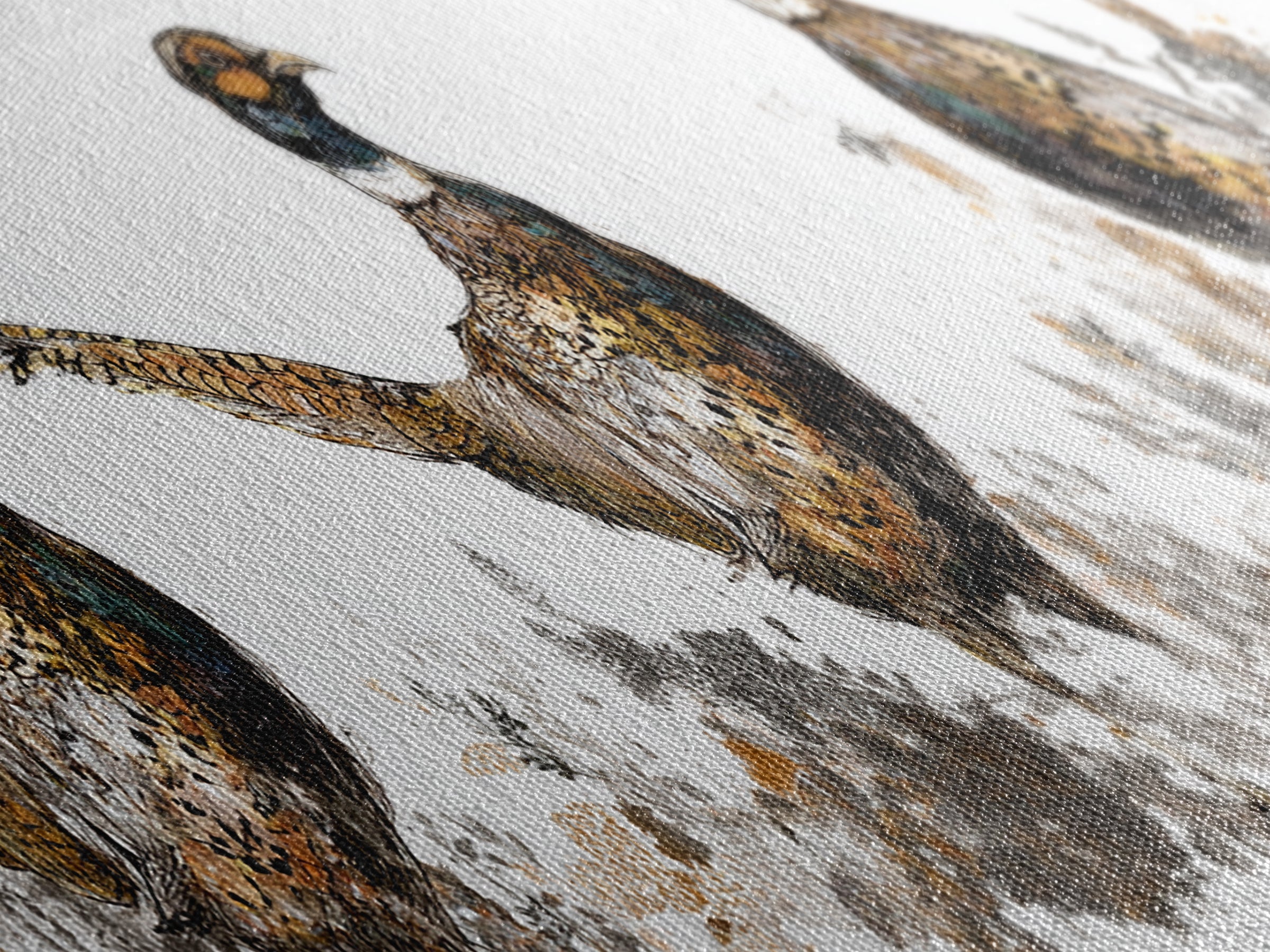 Pheasant with Ornate Feather Details Canvas Print, Bird Art, Art Print, Living Room Decor, Fine Art, Flight, Original Art, BIR-3x1-35