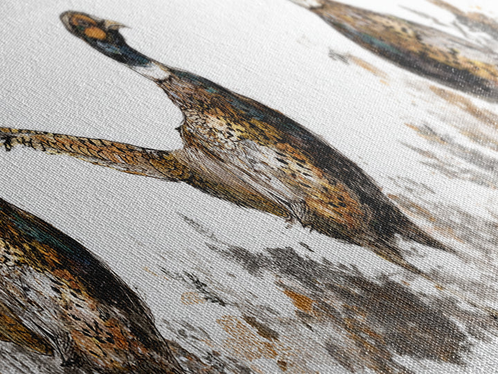 Pheasant with Ornate Feather Details Canvas Print, Bird Art, Art Print, Living Room Decor, Fine Art, Flight, Original Art, BIR-3x1-35
