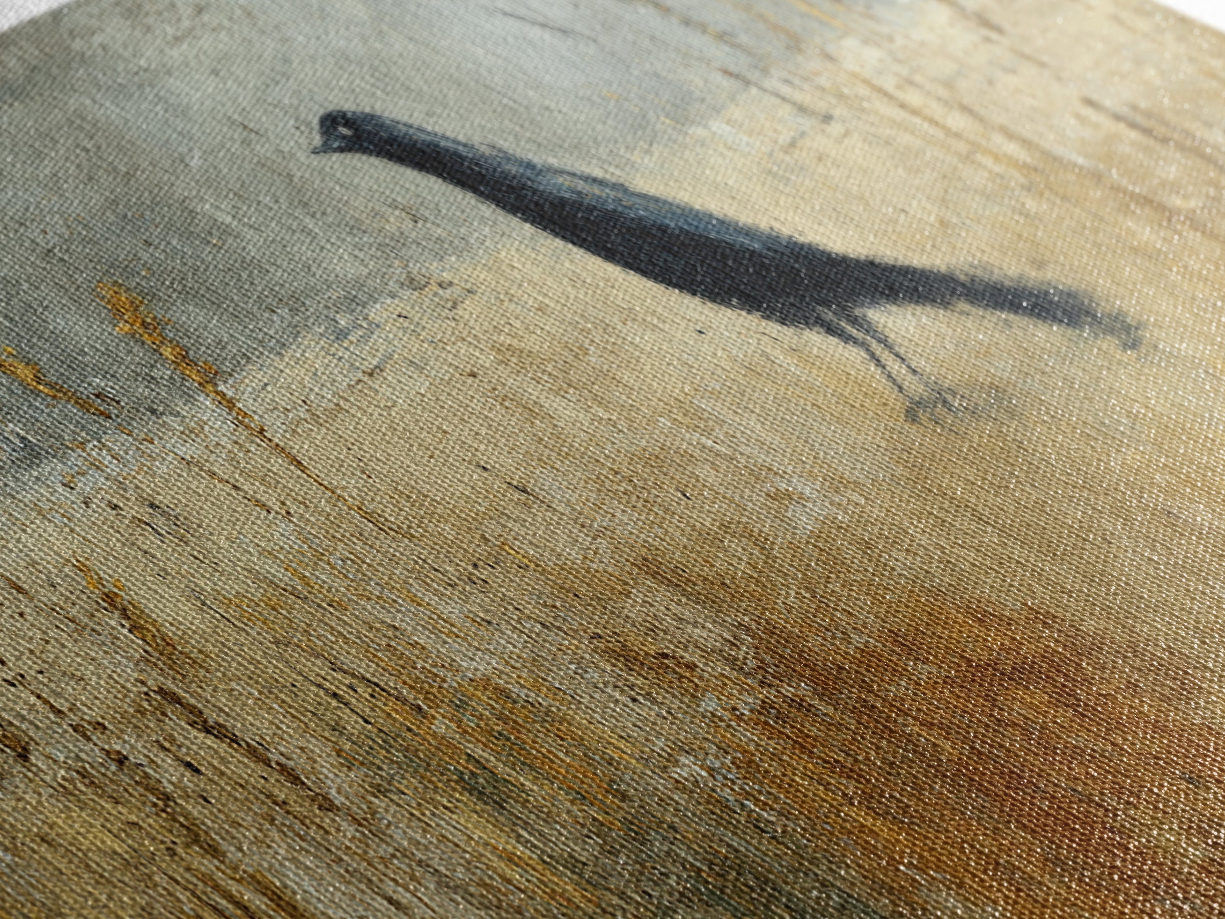 Blackbird on Gold Wheat Field Canvas Print, Bird Art, Gallery Decor, Living Room Decor, Fine Art, Flight, Contemporary Art, BIR-3x1-40
