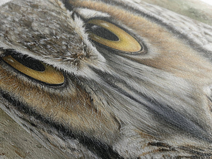 Owl Portrait with Wise Golden Eyes Canvas Print, Bird Art, Gallery Wall, Living Room Decor, Fine Art, Flight, Gallery Decor, BIR-3x1-45