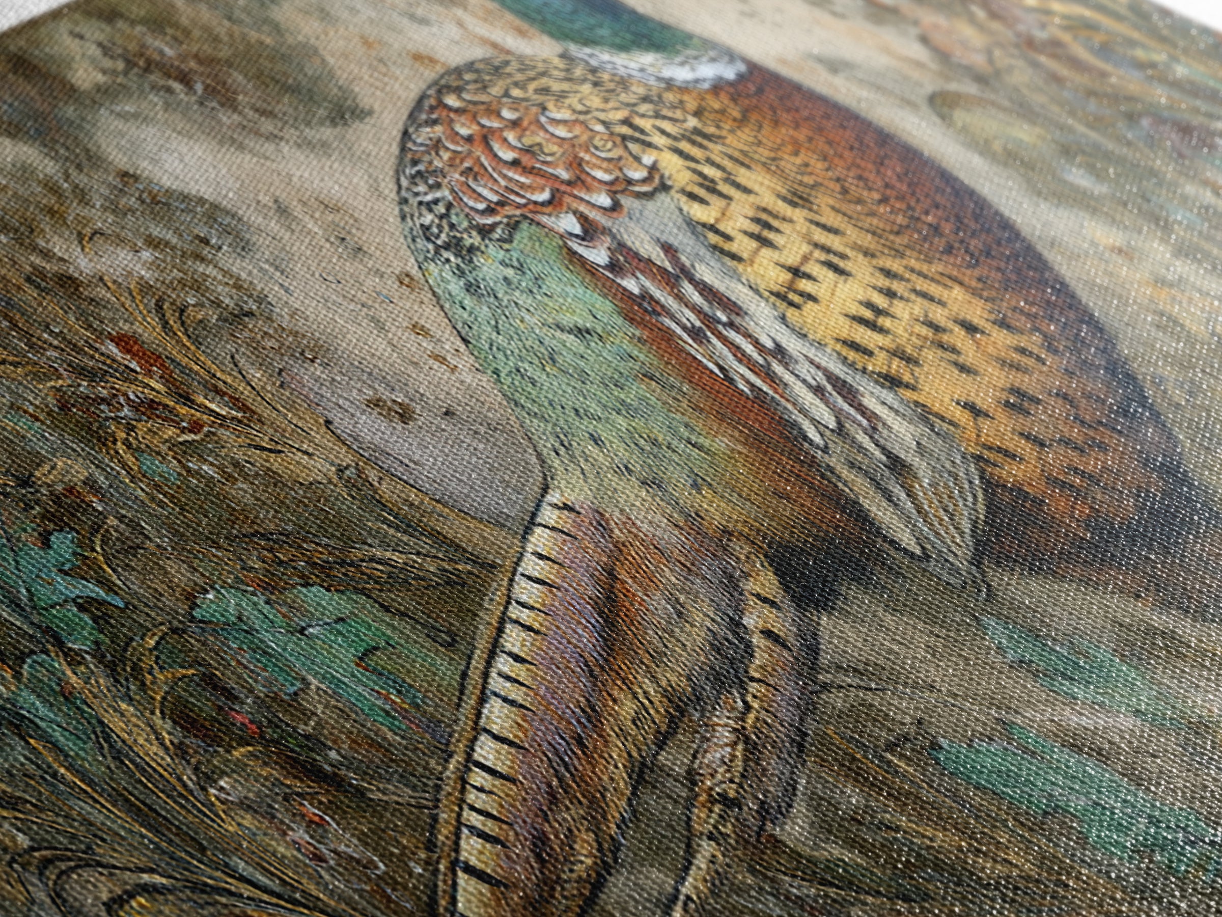 Pheasant with Ornate Feather Details Framed Canvas Print, Bird Art, Wall Art, Living Room Decor, Flight, Japanese Wall Art, BIR-3x1-59