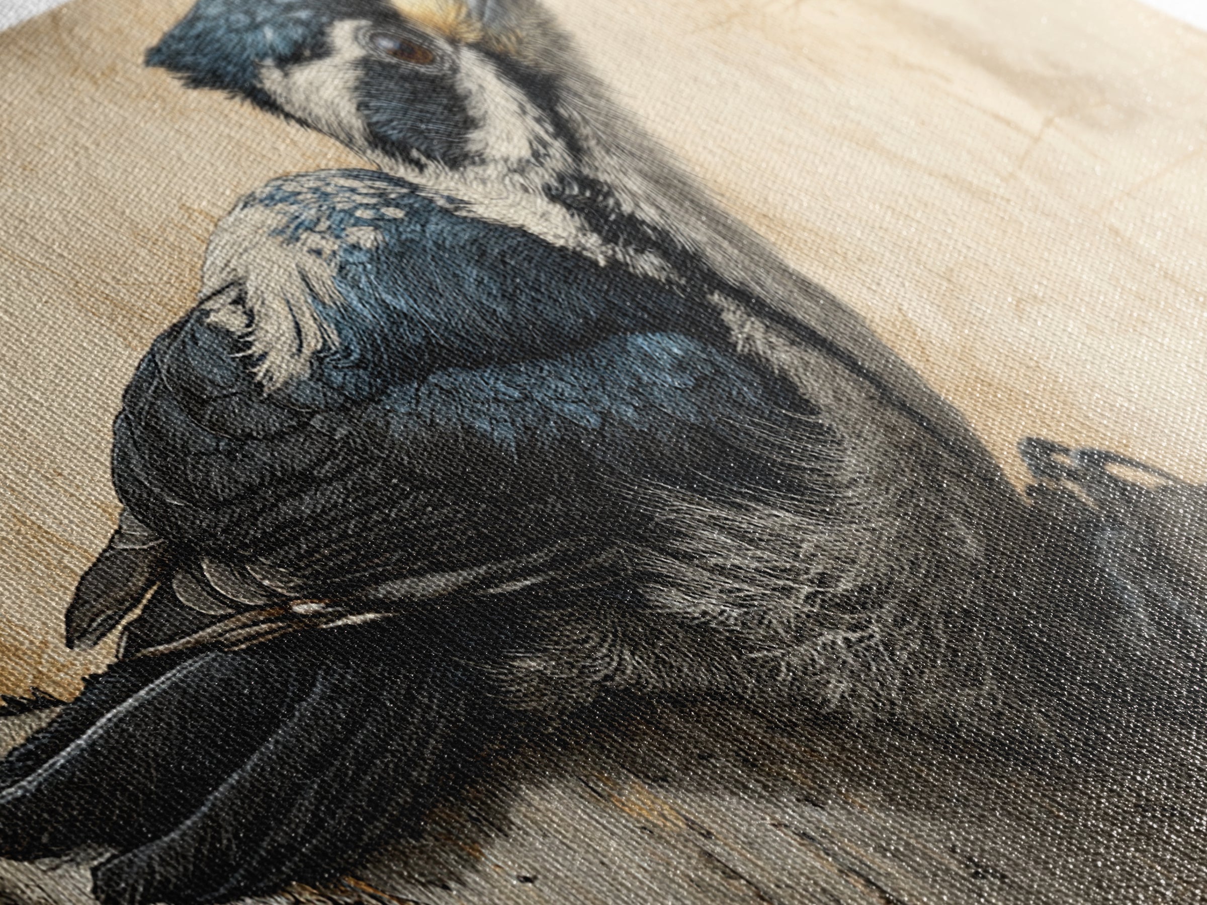 Woodpecker on Birch Bark Texture Canvas Print, Bird Art, Digital Download Art, Living Room Decor, Oil Painting, Flight, BIR-3x1-61